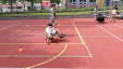 Thumbnail 20230601_110320.jpg 