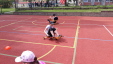Thumbnail 20230601_110359.jpg 
