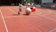 Thumbnail 20230601_110503.jpg 
