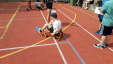 Thumbnail 20230601_110520.jpg 