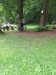 Thumbnail 20260616_144222.jpg 
