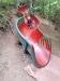 Thumbnail 20260616_145323.jpg 