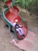 Thumbnail 20260616_145351.jpg 