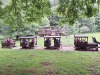 Thumbnail 20260616_145739.jpg 