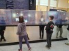 Thumbnail 20240322_125347.jpg 