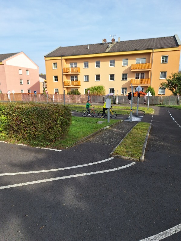 Scaled image 20231018_112541.jpg 