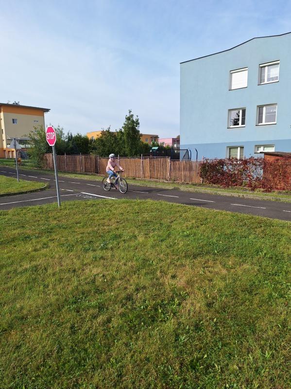 Scaled image 20231018_112725.jpg 