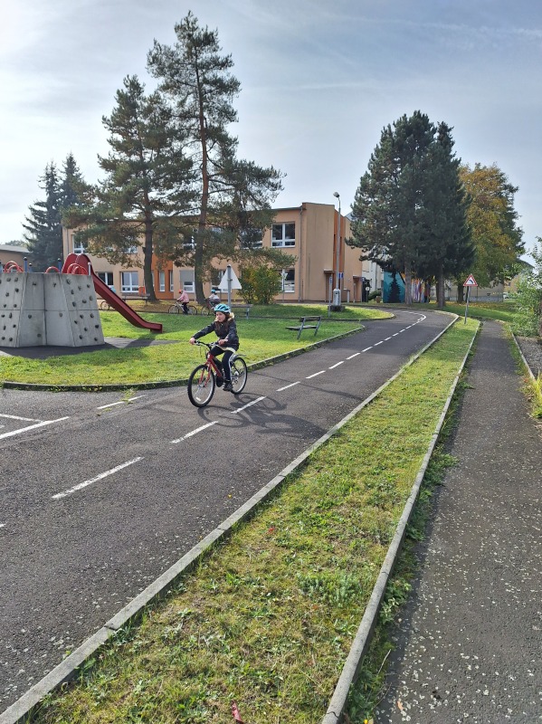 Scaled image 20231018_112740.jpg 