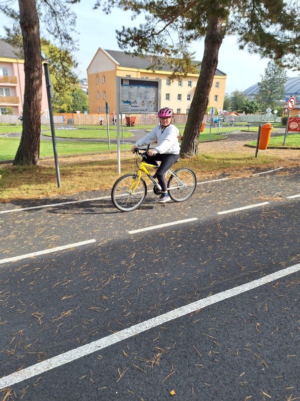 Scaled image 20231018_112815.jpg 