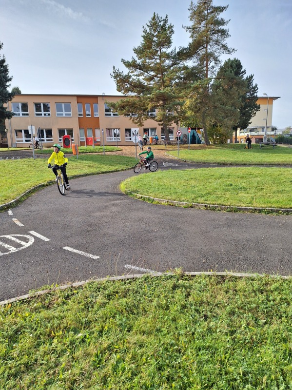 Scaled image 20231018_113004.jpg 