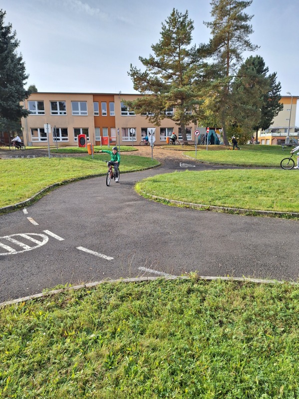 Scaled image 20231018_113006.jpg 