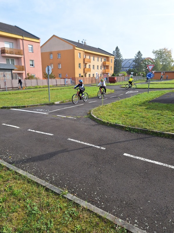 Scaled image 20231018_113055.jpg 