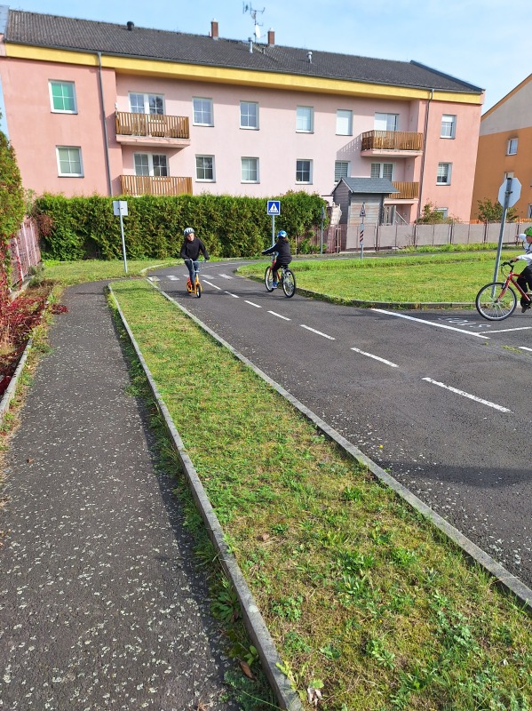 Scaled image 20231018_113101.jpg 