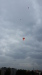 Thumbnail 20221013_160614.jpg 