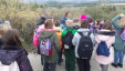 Thumbnail 20221013_105217.jpg 