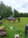 Thumbnail 20250611_083635.jpg 