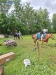 Thumbnail 20250611_084104.jpg 