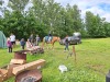 Thumbnail 20250611_085006.jpg 