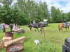 Thumbnail 20250611_085011.jpg 