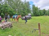 Thumbnail 20250611_085344.jpg 