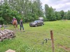 Thumbnail 20250611_085856.jpg 