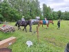 Thumbnail 20250611_090140.jpg 