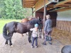 Thumbnail 20250611_090811.jpg 