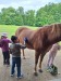 Thumbnail 20250611_091237.jpg 