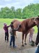 Thumbnail 20250611_091240.jpg 