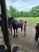 Thumbnail 20250611_091243.jpg 
