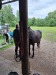Thumbnail 20250611_091439.jpg 
