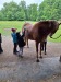 Thumbnail 20250611_091738.jpg 