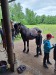 Thumbnail 20250611_091741.jpg 