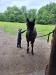 Thumbnail 20250611_091929.jpg 