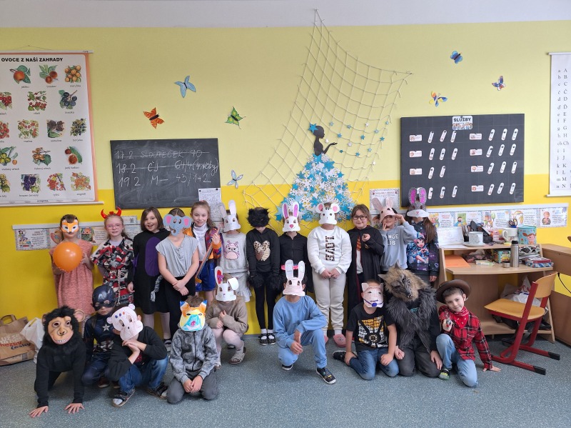 Scaled image 20260219_095053.jpg 