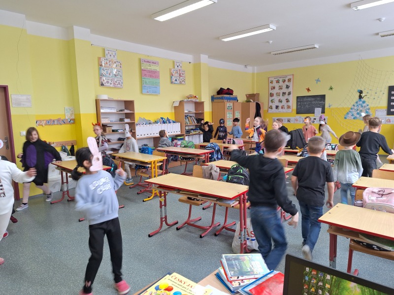 Scaled image 20260219_110347.jpg 