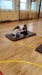 Thumbnail 20211109_082804.jpg 