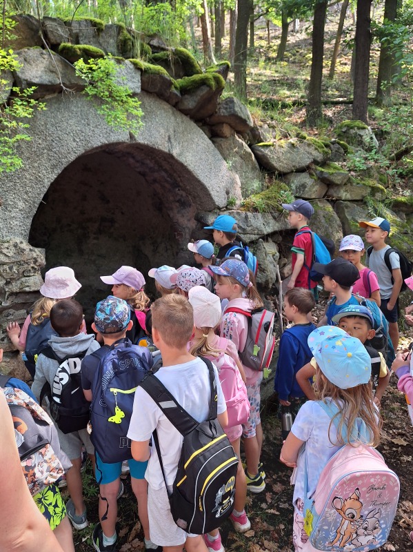 Scaled image 20250617_094650.jpg 