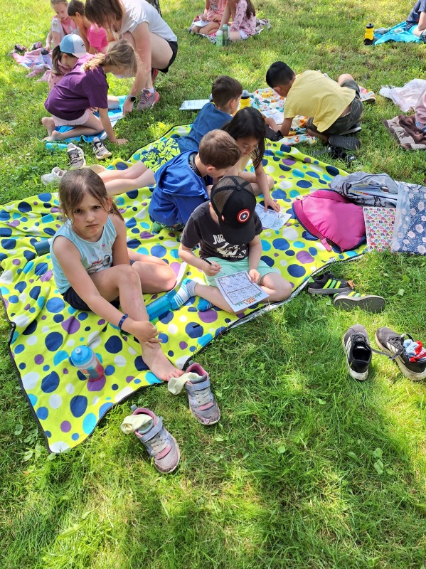 Scaled image 20250617_110401.jpg 