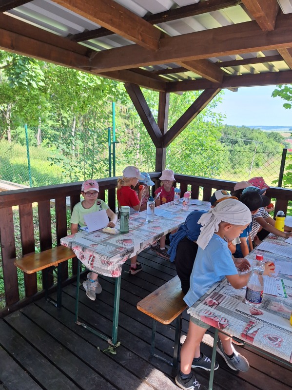 Scaled image 20250618_091410.jpg 