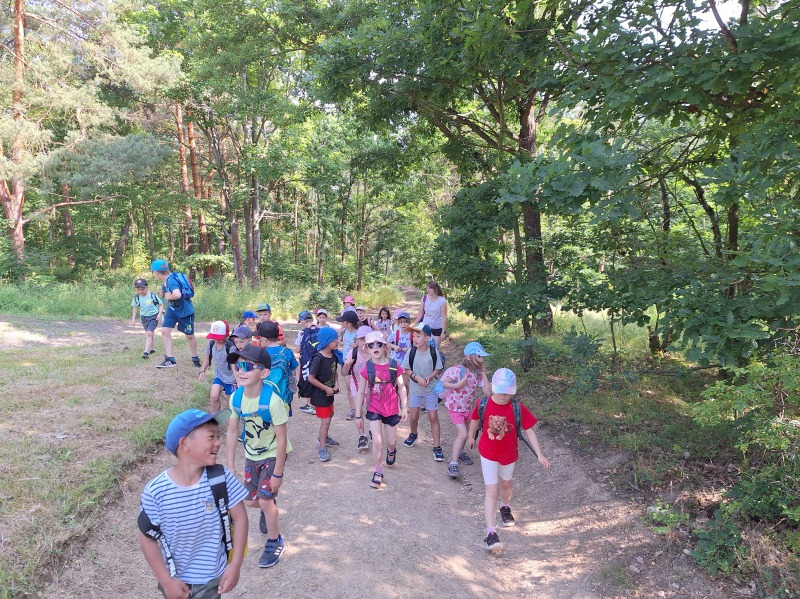 Scaled image 20250618_094545.jpg 