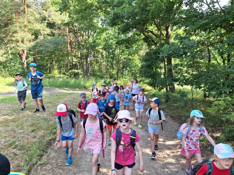 Scaled image 20250618_094547.jpg 