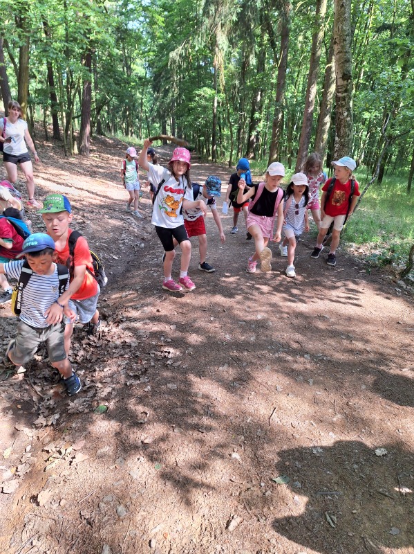 Scaled image 20250618_100405.jpg 