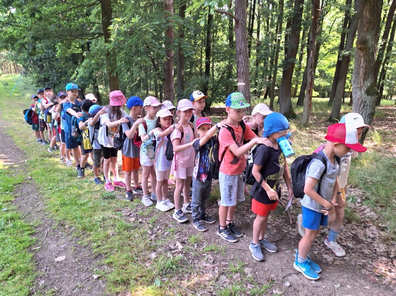 Scaled image 20250618_101433.jpg 