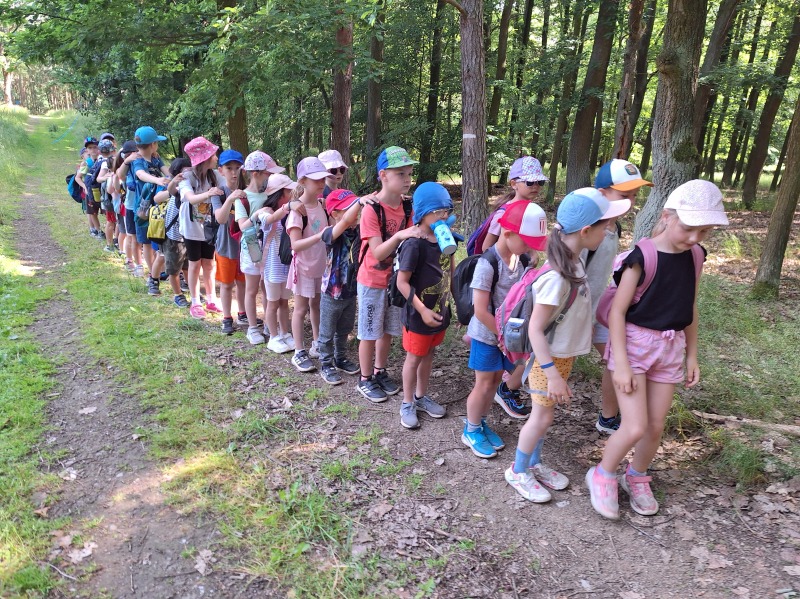 Scaled image 20250618_101436.jpg 