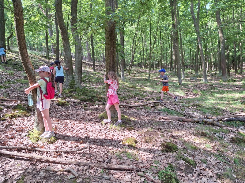 Scaled image 20250618_102026.jpg 