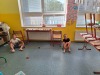 Thumbnail 20260613_064604.jpg 