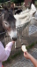 Thumbnail 20230619_090904.jpg 