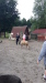 Thumbnail 20230619_091922.jpg 