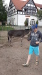 Thumbnail 20230619_091923.jpg 